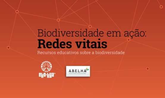 Biodiversidade em ação: redes vitais módulo 1