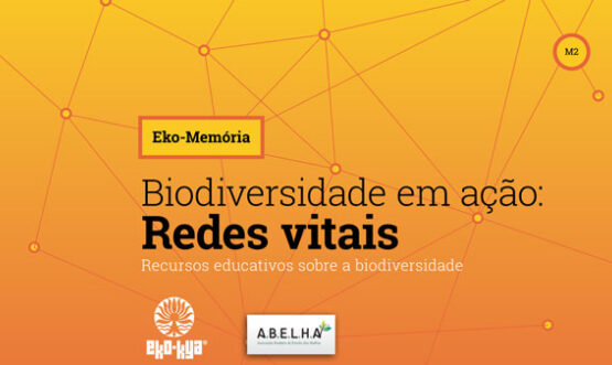 Biodiversidade em ação; redes vitais - módulo 2