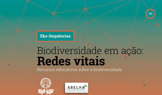 Biodiversidade em ação; redes vitais - módulo 6